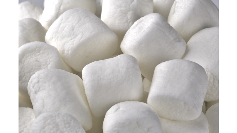 Full frame of white Marshmallows (Althaea officinalis)