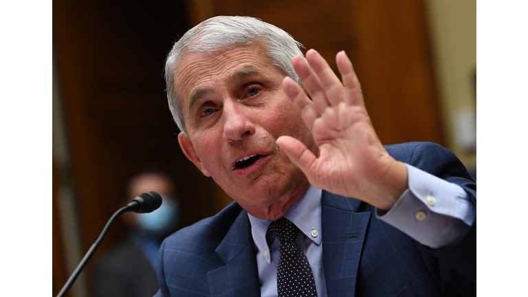 Dr. Anthony Fauci (Getty)
