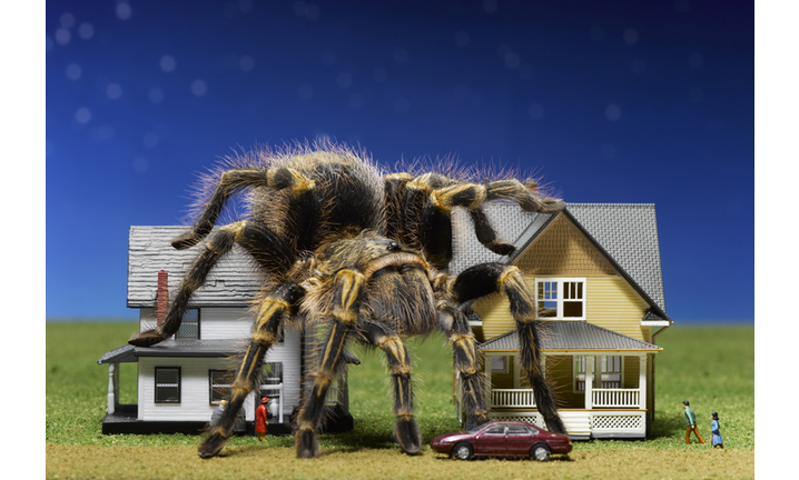 Copyright 2020 Getty Images