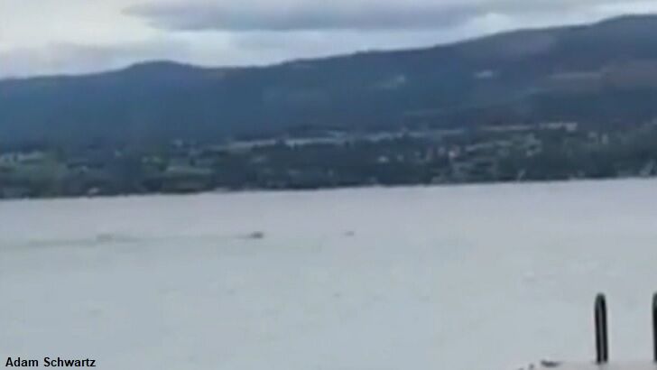 Possible Ogopogo Sighting Reported