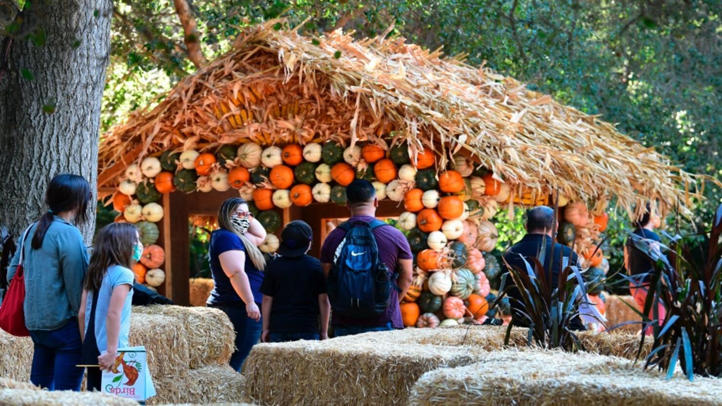 US-LIFESTYLE-HALLOWEEN-HEALTH-VIRUS