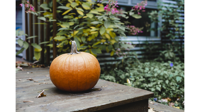 Pumpkin and autumn leaves