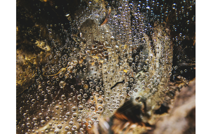 Copyright 2020 Getty Images