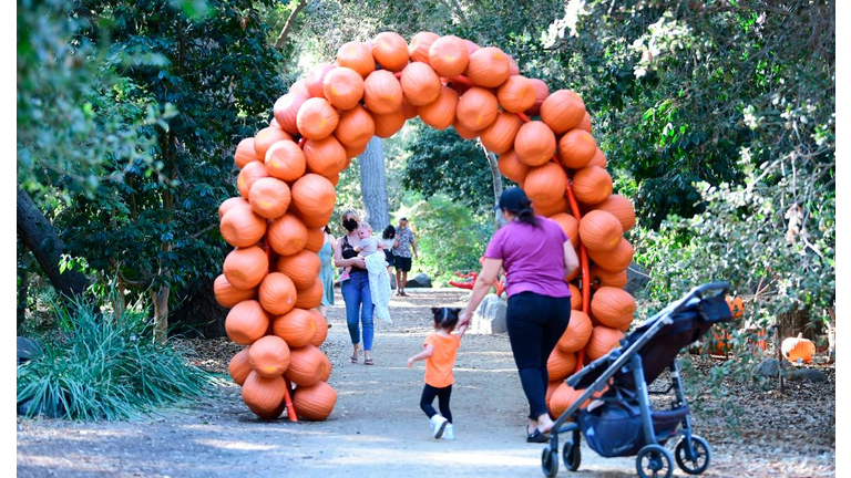 US-LIFESTYLE-HALLOWEEN-HEALTH-VIRUS