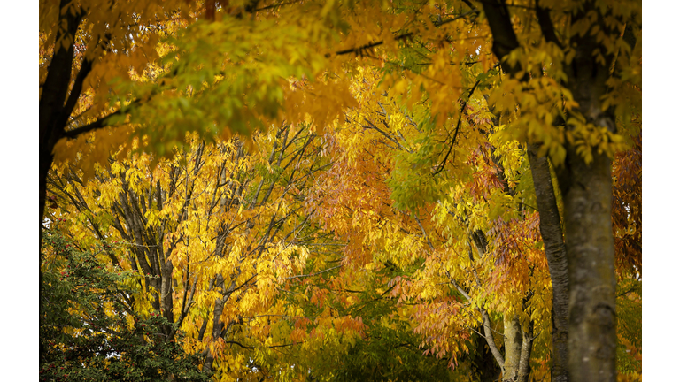 (Photo Credit: Getty Images)