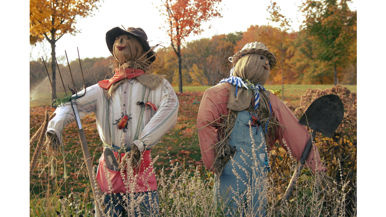 fall scarecrows