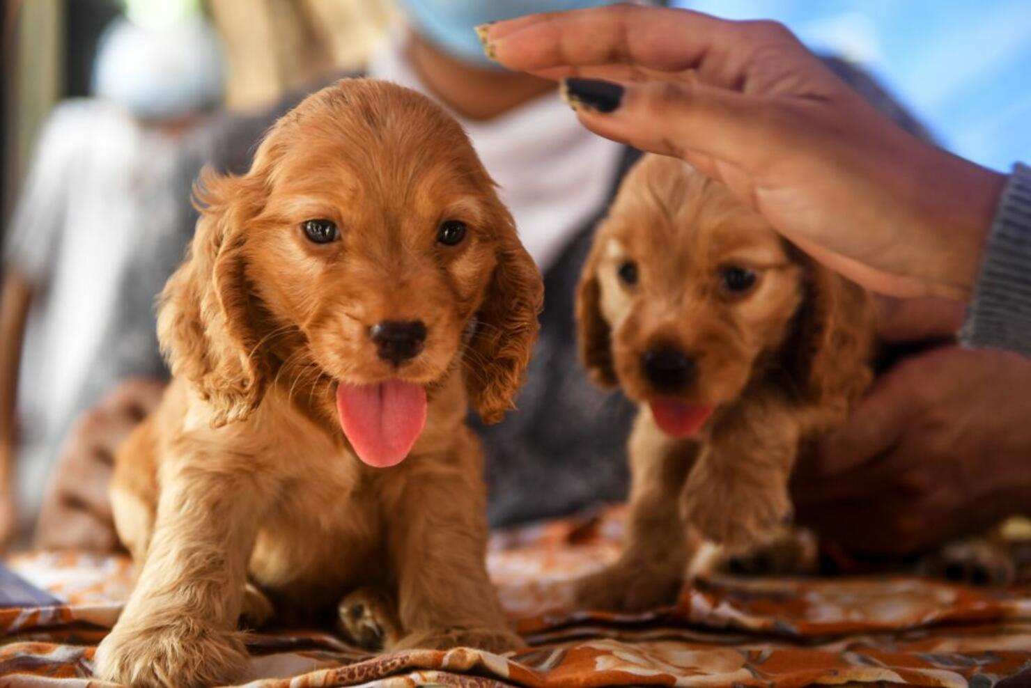 Too sweet, don't ya think?