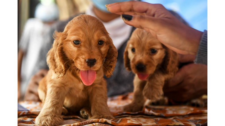 Too sweet, don't ya think?