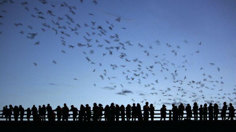 Tourists and local residents gather on t