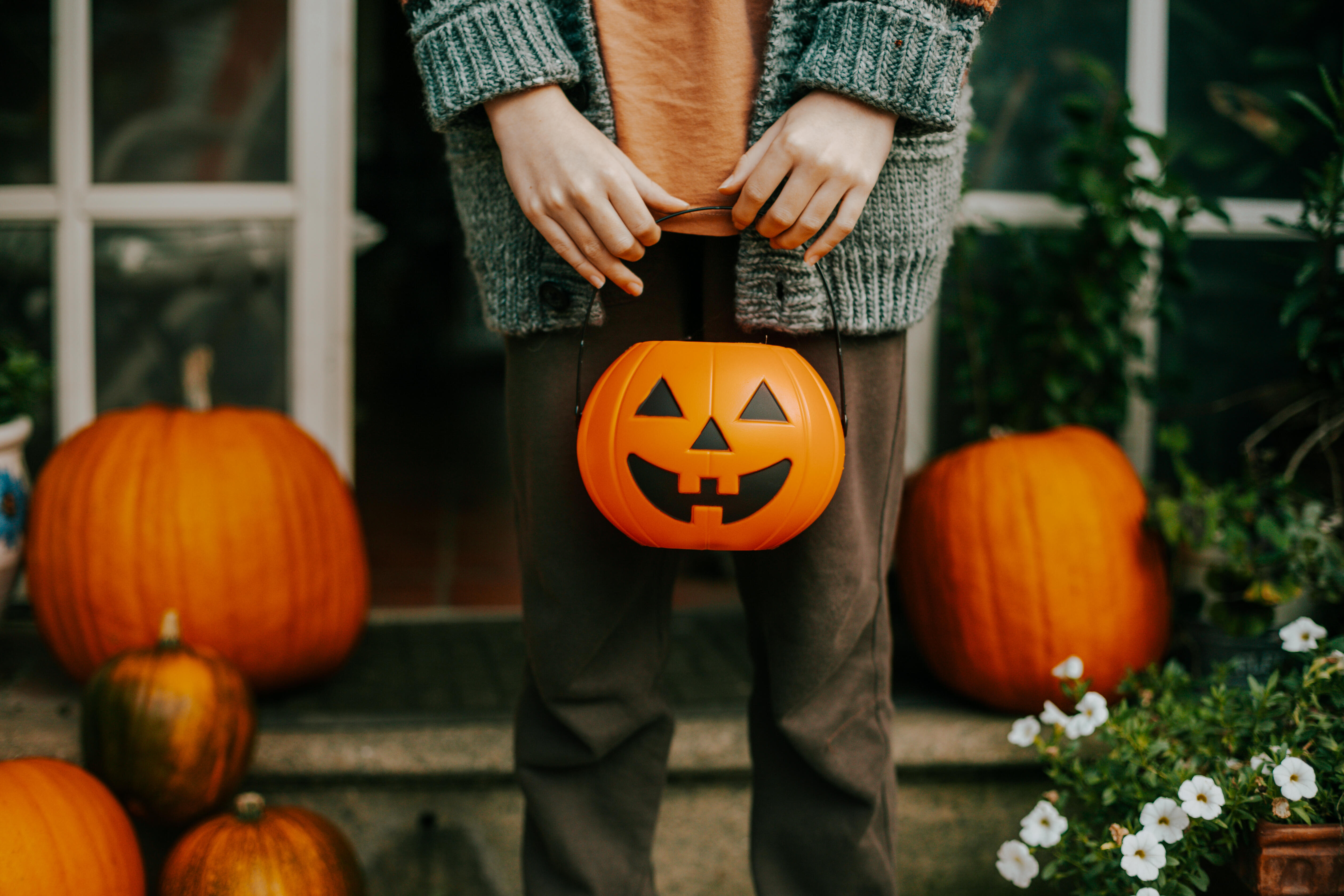 Calling All Fuzzy and Scary-Cute Pets to PetSmart this Halloween