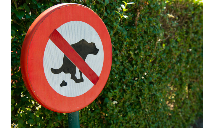 No dog pooping sign in the park.