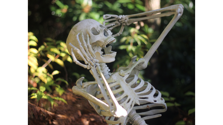 Human Skeleton On Field