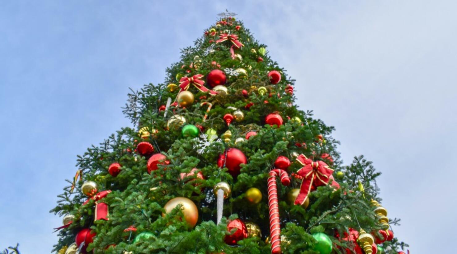 arizona-s-largest-christmast-tree-goes-up-in-anthem-iheart