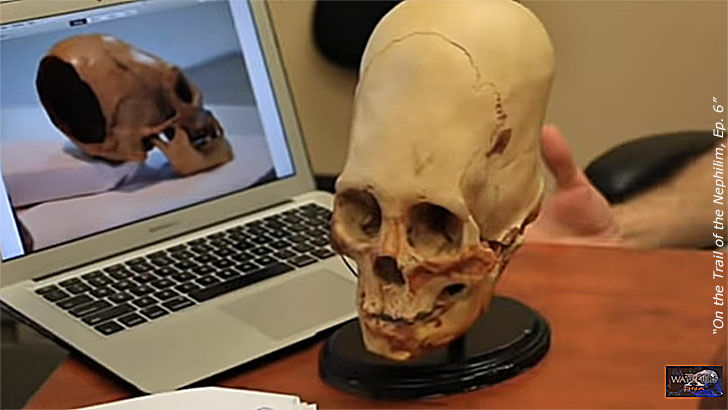 Paracas Skulls & Nephilim / Supporting Veterans