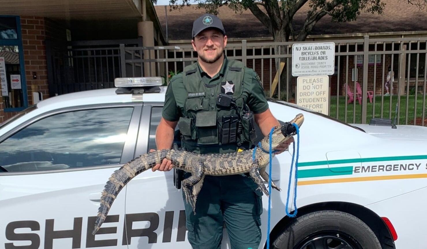 Go Gators? Deputies Remove Gator From Florida School Playgrounds | iHeart