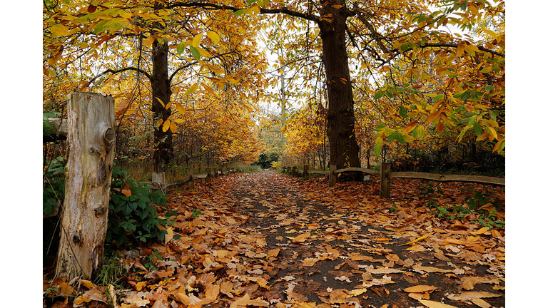 Beautiful autumn colours are seen across the Royal Botanical Gardens