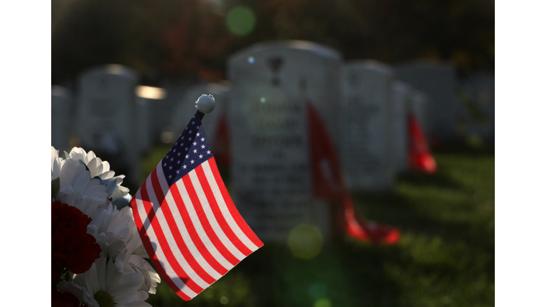 Veterans Day Honored Around The Nation's Capital