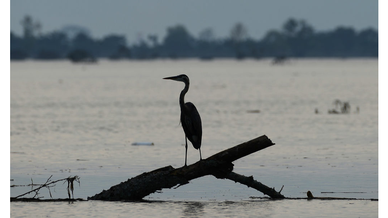 HONDURAS-TROPICAL STORM-ETA-NATURE-WILDLIFE