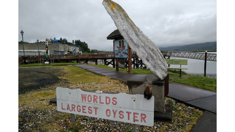 That's one big oyster