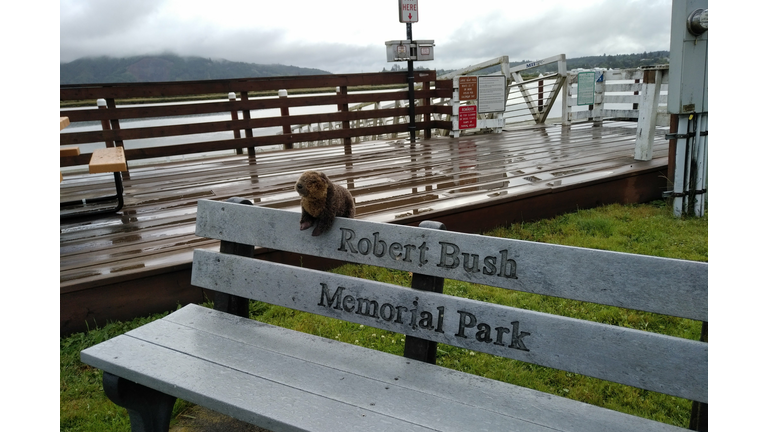 Hanging out on a park bench