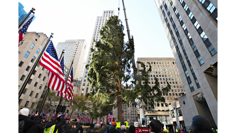 2020 Christmas Tree Delivered To Rockefeller Center For Holiday Season