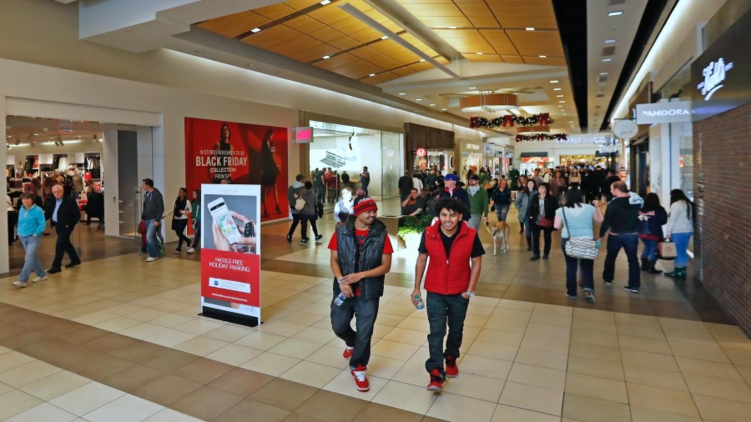 Holiday Shoppers