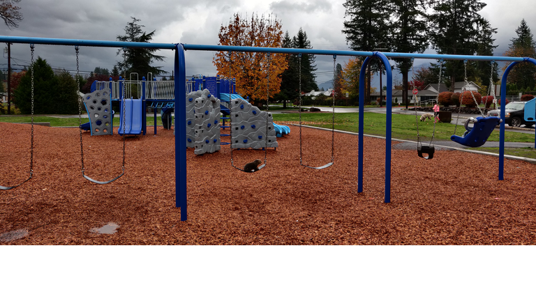 Just a beav enjoying the park