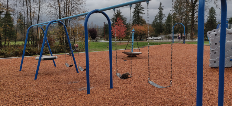 I have the swings allll to myself