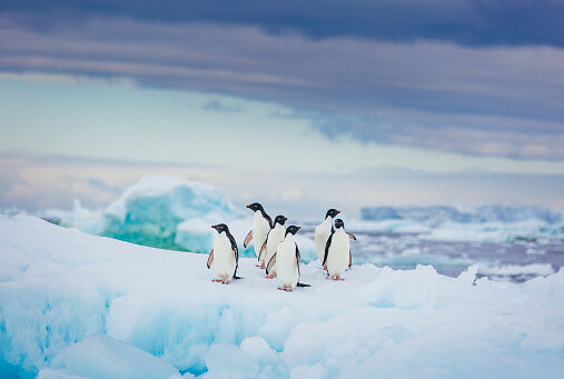 Photo: Getty Images
