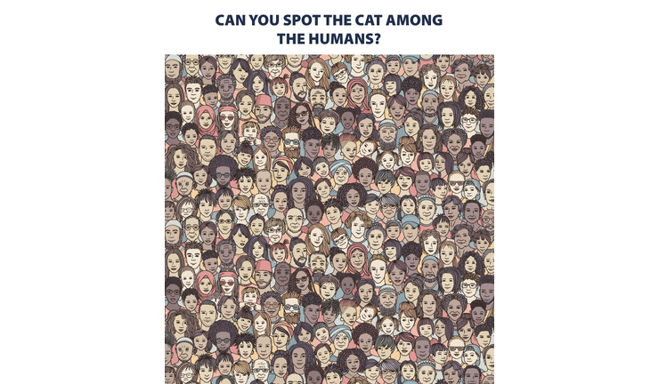 Only A True Cat Lover Can Find The Kitty In This Drawing Of People Iheartradio