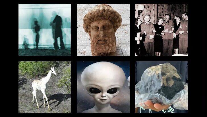 In Coast You Missed It 11/20/20