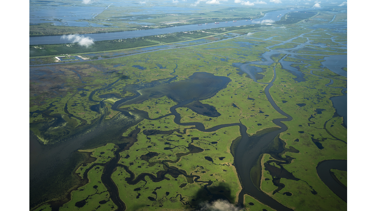 Coastal waters flow through deteriorating wetlands on August 22, 2019 in Plaquemines Parish, Louisiana. (Photo by Drew Angerer/Getty Images)