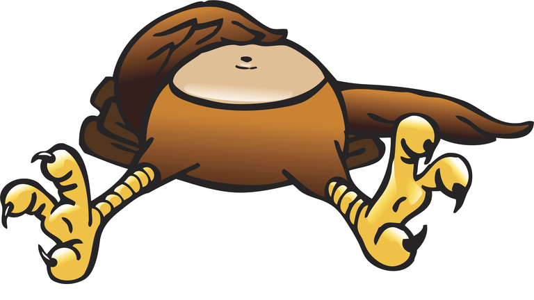 He's Stuffed!!