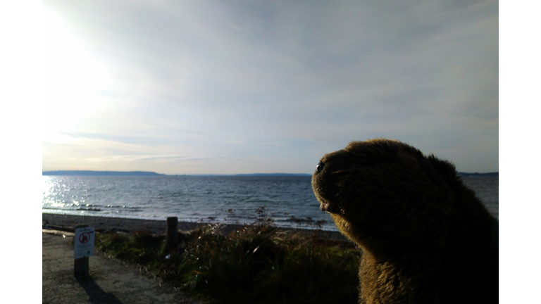 That's some beautiful beach!