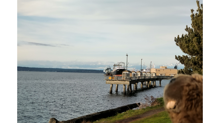 When will they open this fishing pier back up?!