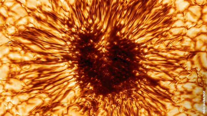 Image: 10,000-Mile Wide Sunspot 