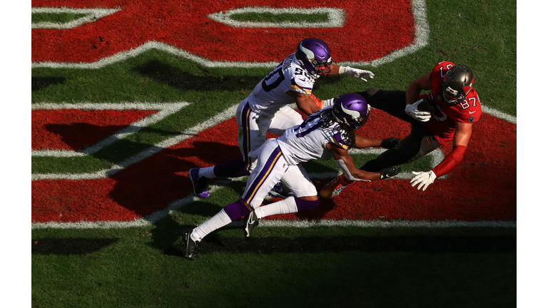 Rob Gronkowski hauls in a 2-yard touchdown pass from Tom Brady in Sunday's 26-14 Buccaneer win over the Minnesota Vikings