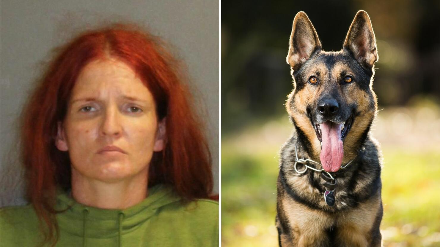 Body Cam Catches Woman Throwing Dog From SecondFloor Balcony In