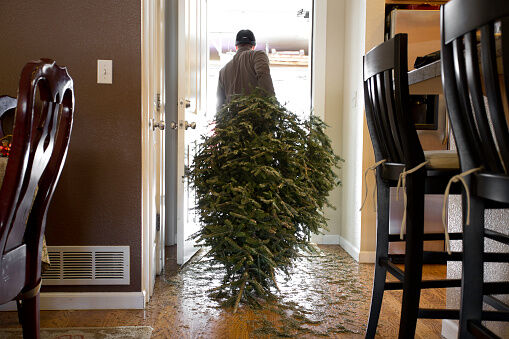 Recycling a Christmas Tree