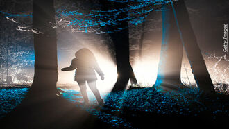 New Income Streams / Psychic Detective Cases