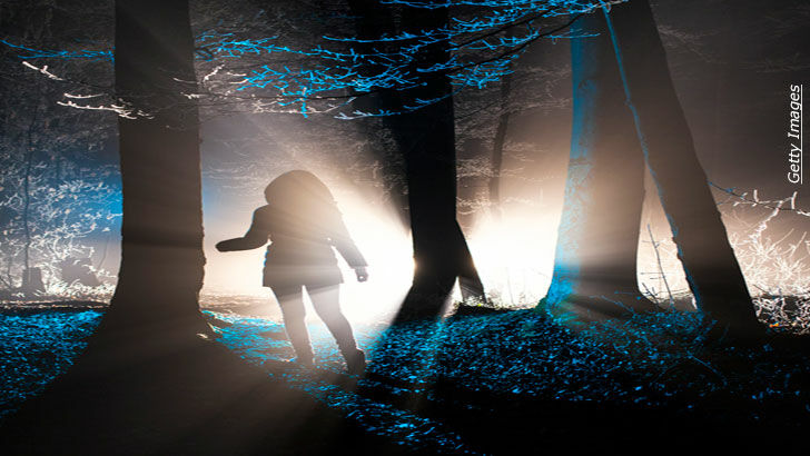 New Income Streams / Psychic Detective Cases