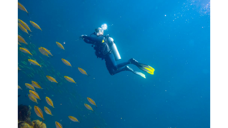 THAILAND-MARINE-NATURE