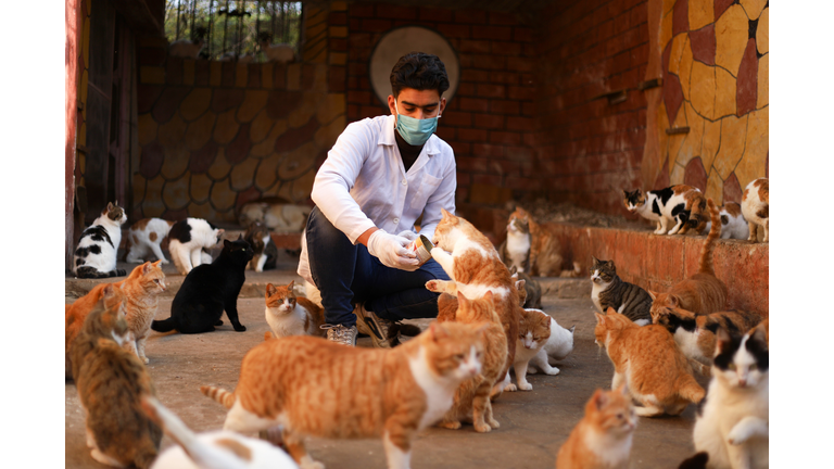 SYRIA-CONFLICT-IDLIB-ANIMAL-SHELTER