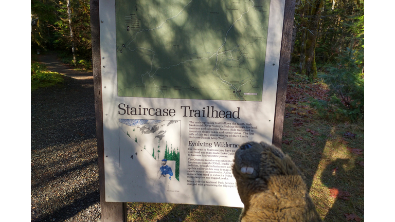 hmm...which way to go.