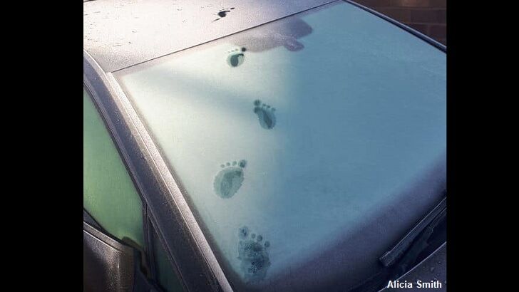 Mysterious Trail of Four-Toed Footprints Discovered Atop Frosty Car in England