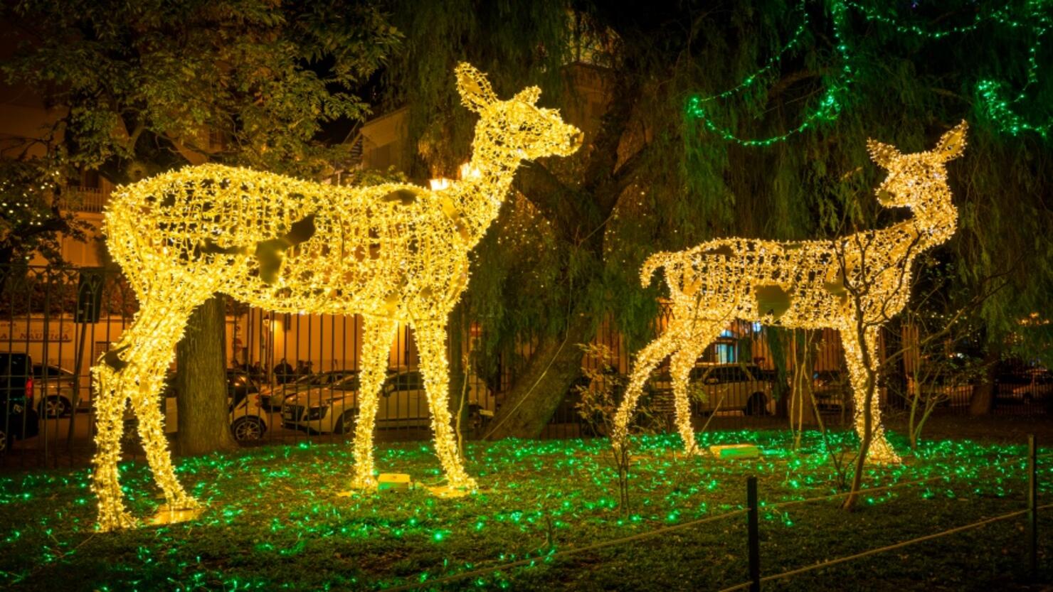 The amazing Artist's Lights (Luci d'Artista) in Salerno during Christmas time. Campania, Italy.