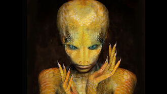 Campobasso Alien Illustrations