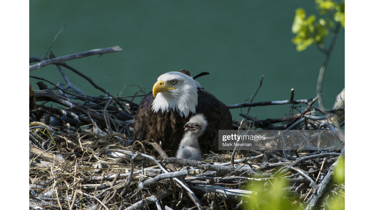 Getty Images 