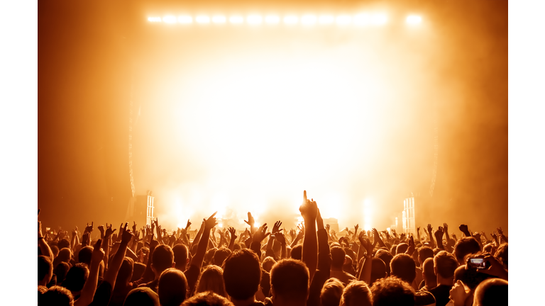 Concert Crowd