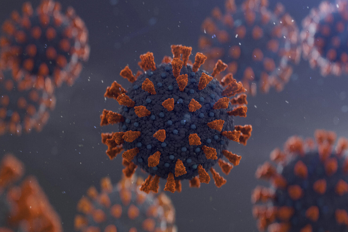 OSU Researchers Find New COVID19 Virus Variant In Ohio iHeart